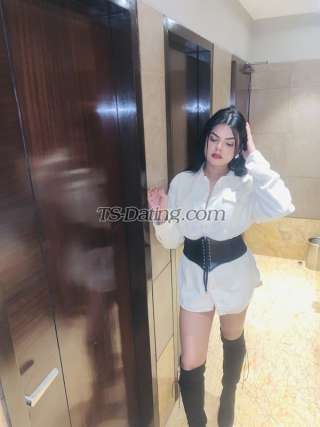 trans girl DivaDua 4377274