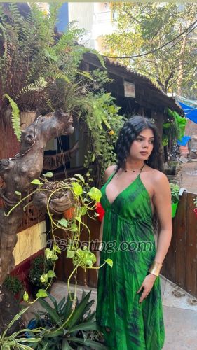 trans girl DivaDua 7457390 trans girl DivaDua 7457390