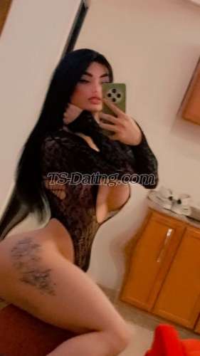 trans girl Divaa1 2895216 trans girl Divaa1 2895216