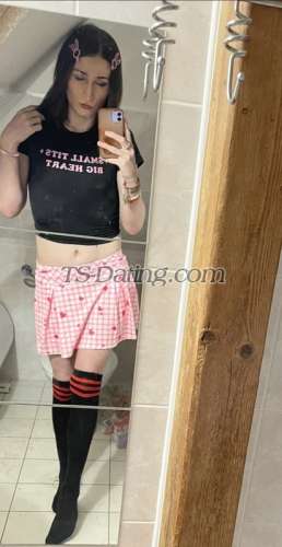 trans girl DollyLove 4243080 trans girl DollyLove 4243080