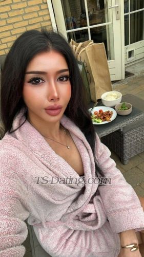 trans girl DolphinPink 7032101 trans girl DolphinPink 7032101