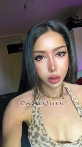 trans girl DolphinPink 7032164 trans girl DolphinPink 7032164