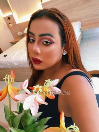 trans girl Domgirlpussy 1810735