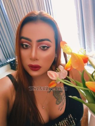 trans girl Domgirlpussy 2336429