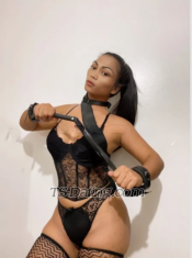Dominanttrans Angeles City Transex  Hello every one im trans from Angeles city and I'm happy to offer the  different show that make u satisfy.
Solo show    25$
Trans with trans  40$
Trans with girl  50$
Trans with men 35$
Dirty show 40$
Domination 30$
I'm not here to play game if you are trying to trick me I don't have time for that .
