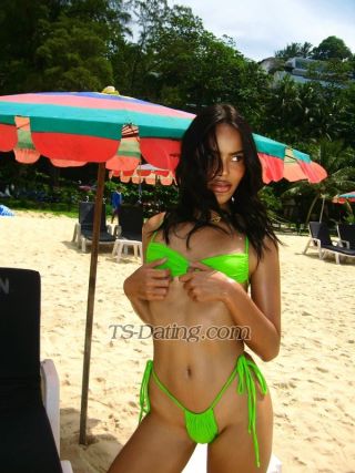 trans girl DorothyKOL 3805801 trans girl DorothyKOL 3805801