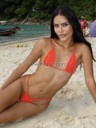 trans girl DorothyKOL 5187762 trans girl DorothyKOL 5187762
