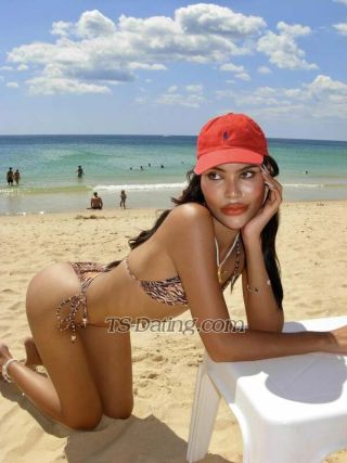 trans girl DorothyKOL 8971258 trans girl DorothyKOL 8971258