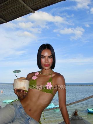 trans girl DorothyKOL 9677788 trans girl DorothyKOL 9677788