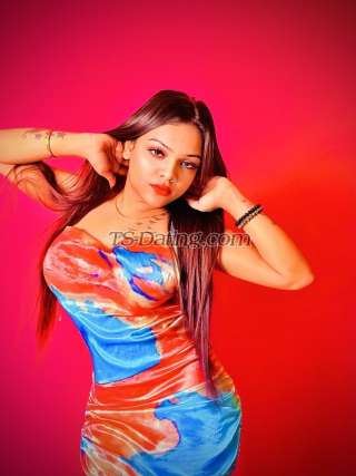 trans girl Dreamgirltina 9898195 trans girl Dreamgirltina 9898195