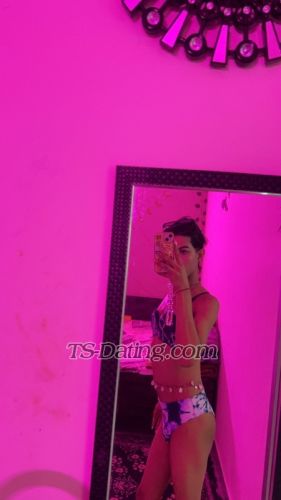 trans girl Dreamydiva 7822774