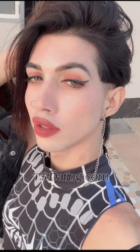 trans girl Dreamydiva 7824681