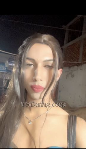 trans girl Dreamydiva 7824742
