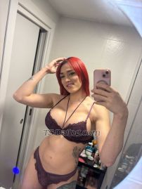 Dulce maria p Madrid Transex Onlyfans
https://onlyfans.com/beauty_dulcemaria
☎️☎️ ☎️ +34677882549 ☎️

Hi honey, I'm a sexy Latina in your city that will make all your porn desires and fantasies come true. Beautiful hair, long legs, big ass, beautiful nails, come and spend a nice evening or relax with me. I work 24 hours. Only decent and respectful people come to escape from the world and have an amazing experience that you will never forget, amazing attitude and spirit. A conversation, nice, longer meetings, dinner, restaurant, and I can always improve. Dress for the occasion, a beautiful dress and high heels. I'm a great girl, you will love it. Just text me or call me to make an appointment and you will be ready to meet. Different services and you can ask and I will make your fantasies come true. You will not regret coming here and enjoy your time with me.

☎️☎️  ☎️☎️

Onlyfans 
https://onlyfans.com/beauty_dulcemaria