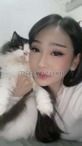 trans girl dhit99 3029207 trans girl dhit99 3029207