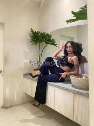 trans girl diane24 3096059