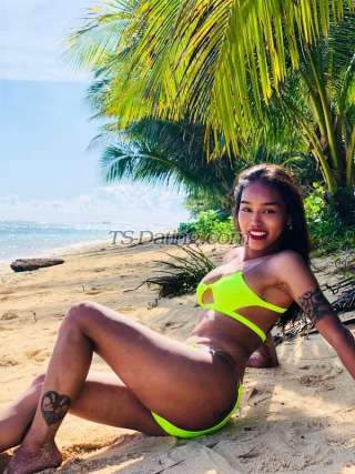 trans girl diane24 9205055