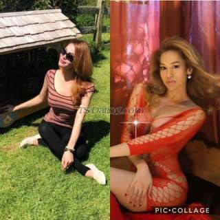 trans girl diannets4u 3537921 trans girl diannets4u 3537921