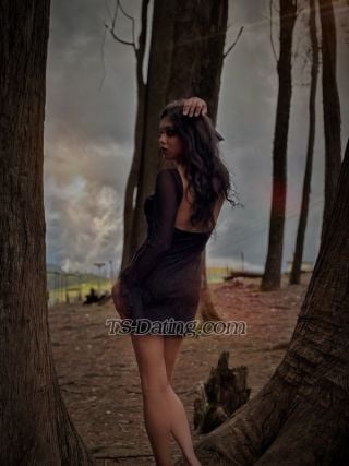 trans girl dirtyCutee 8228645 trans girl dirtyCutee 8228645