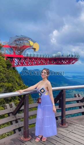 trans girl dollybarbie 2263676 trans girl dollybarbie 2263676