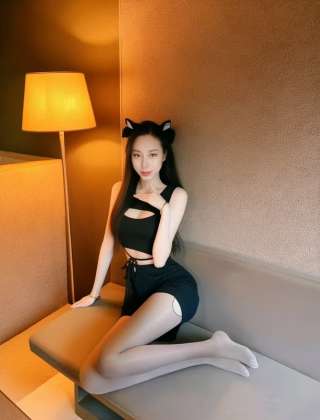 EE667788 2977877 EE667788 2977877