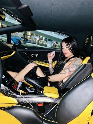 trans girl Elena77 5902755 trans girl Elena77 5902755