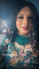 Elena shemale Pune Transex Hey dear I am elenaBasically from Himachal Pradesh
and right now I am in your city 💓🥰I have 9+ hard
dick Online and offline service availableFor
hygienic and highly elite and eliquette client I am
professional and educated and want to be safe and
comfortable..*I am charming and beautiful make ur
desires to heaven *sex toys available *recorded vedio
available *real dominating Indian shemale with active 9+
dick and fully functional cock and huge load of cum with
natural juicy boobs•make please to beginners and
expertsjust let yourself go and you will enjoy
delicious sex •I fulfill all your sexual fantasies
by* Providing * video Call service * Phone
call service * Real meet service * Couple
serviceAll are welcome to my service at affordable
prices with safe, secure and comfortable service...Come
and meet with me for feel heaven and fullfill your desirable
fantasies *100% genuine and real me and my services
thank you