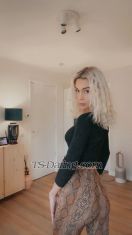 Eleni2026 Amsterdam Transex Hello, my name is Eleni.I offer discreet and
refined companionship for those who appreciate elegance,
mutual respect, and genuine connection. I am a well-groomed,
calm, and open-minded trans woman who values clear
communication and personal boundaries.Whether you
are looking for a relaxed escape, a pleasant evening
together, or private company in a comfortable setting, every
meeting is approached with care and attention to detail.
Discretion, hygiene, and respect are always given and
expected.All photos are real. I prefer honest
conversations and clear expectations before meeting, so that
our time together feels natural, safe, and
enjoyable.Let’s start with a conversation and
see where the moment leads.