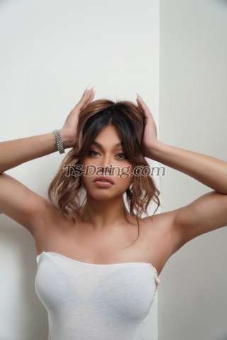 trans girl Elissaxoxo 6154062 trans girl Elissaxoxo 6154062