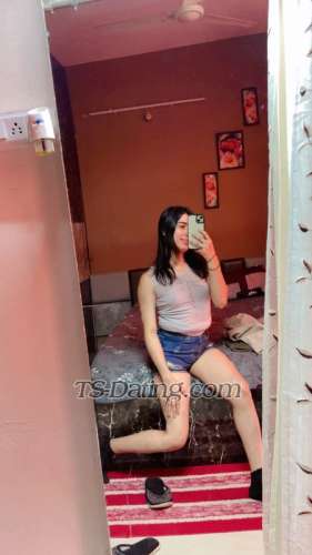 trans girl Ellaxx23 8928479 trans girl Ellaxx23 8928479