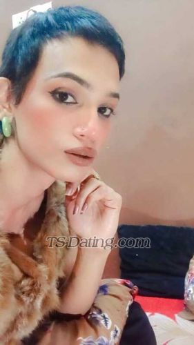 trans girl Elveera 3682903 trans girl Elveera 3682903