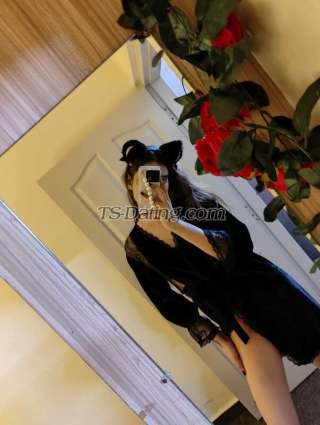 trans girl Eroticcross 4729257 trans girl Eroticcross 4729257