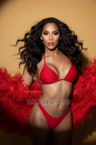 Estefania94 Cadiz Transex Hallo zusammen! Ich bin Estefanía Bracamontes, exquisite venezolanische Göttin, ich präsentiere mich vor Ihnen. Meine Persönlichkeit ist eine faszinierende Mischung aus Neugier, Kreativität und Authentizität und ich freue mich, ein wenig von meiner Essenz mit Ihnen zu teilen. Neugier ist ein grundlegender Teil meines Lebens. Ich bin immer auf der Suche nach etwas Neuem, erkunde neue Orte und treffe interessante Menschen. Ich glaube, dass Wissen und Abenteuer vor mir liegen. Kreativität ist meine Ausdrucksform. Authentizität ist einer meiner wichtigsten Werte. Ich schätze Aufrichtigkeit und Transparenz bei allem, was ich tue, und glaube, dass es der Schlüssel zum Aufbau authentischer Verbindungen ist, man selbst zu sein...!! Kontaktieren Sie mich und lassen Sie uns Momente voller Neugier und Kreativität teilen! INSTAGRAM @Estefania.Bracamontes Klimatisierter Boden Begleitperson bei Abendessen und VIP-Plätzen Wagen Sie es, ein unvergessliches Erlebnis zu erleben Ich betreue keine Paare Ich bediene keine Frauen Geringgebildete Menschen, nur interessierte und zahlungsfähige Menschen sollten sich enthalten.