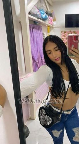 trans girl EstefaniaHo 4108993 trans girl EstefaniaHo 4108993