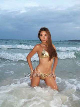 trans girl Estradiaon 3103261 trans girl Estradiaon 3103261