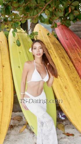 trans girl Estradiaon 3103294 trans girl Estradiaon 3103294