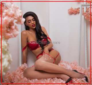 trans girl EvaHilton69 4730756 trans girl EvaHilton69 4730756