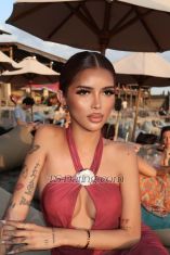 Eva Penelope Bali Transex Welcome to my world — I’m Eva i just arrived here in
Bali Indonesia 🇮🇩 A 22 Half Latina, Half Filipina &
Unapologetically Independent women.They say the
most unforgettable things come from the perfect mix of fire
and warmth and that’s exactly who I am. Born of
two worlds. the fiery, passionate spirit of my Latina roots,
and the soft, radiant warmth and grace of my Filipino heart.
22 years old, fully in my power, and proudly independent I
walk my own path, set my own rules, and carry myself with a
confidence that turns heads wherever I go.I’m
not just a pretty face, or a fleeting thought you daydream
about. I am the fantasy you’ve kept hidden in the back of
your mind the one that feels too bold, too perfect, too
thrilling to ever be real… until now. I’m the heat that
lingers on your skin long after we’re apart, the spark
that lights up every quiet moment, and the fulfillment of
every secret desire you’ve been too shy to say out
loud.Sexy isn’t just what I wear  it’s the way
I move, the way I look at you, the way I make you feel seen,
wanted, and completely at ease. I bring the passion that
burns bright, and the gentle care that makes every moment
feel like magic. Whether you crave wild, unfiltered
excitement or soft, deep connection. I’m here to turn
every “what if” into your favorite memory.No
games, no pretense, no limits. Just me  EVA your dream
brought to life. Let’s stop imagining… and start living
it. MAKE A APPOINTMENT FOR OUR MEETING FOR ATLEAST
30minutes or 1 hour prior meet up.! I DONT DO NO
CONDOM SEX BECAUSE WE NEED TO BE SAFE ALL THE
TIME.I ALSO DO CAMSHOW & SELLING MY VIDEOS ON
TELEGRAM CHANNEL.I SURE THAT I WILL LEAVE YOU WITH
THE BIG SMILE ON YOUR FACE BECAUSE YOU WILL MEET THE BEST
SLUT.CONTACT ME FOR INFO, AVAILABLE
24/7•whatsapp: +639675136239•telegram:
@eva771144 / +639675136239•instagram:
evamonxsYOU CAN CALL ME FOR VERIFICATION.