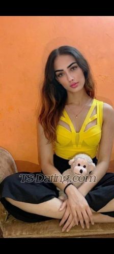 trans girl Evahotty 5347970 trans girl Evahotty 5347970