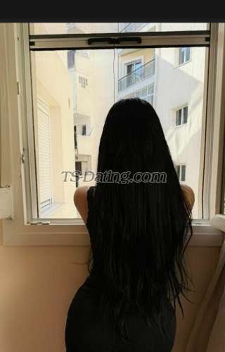 trans girl Evelinhe 8469073 trans girl Evelinhe 8469073