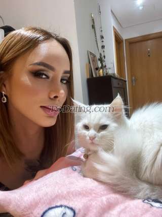 trans girl KimzyEvans 0753500 trans girl KimzyEvans 0753500