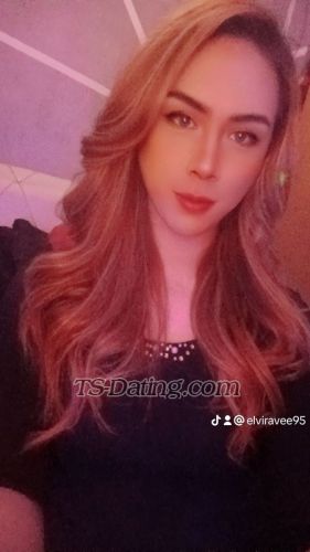 trans girl elviravee95 1151739 trans girl elviravee95 1151739