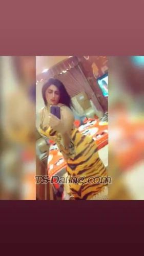 trans girl engygoga609 6773691