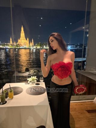 trans girl exotickhalifa 4335654