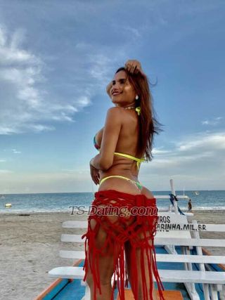 trans girl FabriciaLarra 8363824 trans girl FabriciaLarra 8363824