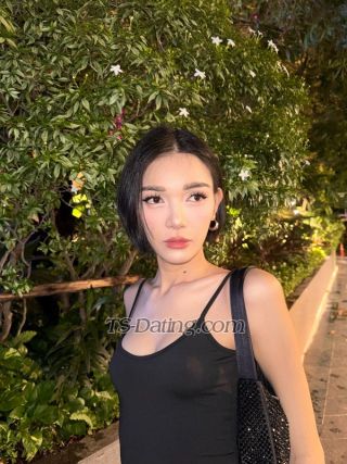 trans girl Faceliufx 8132784