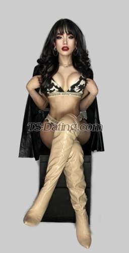 trans girl Famemassive 7973695 trans girl Famemassive 7973695