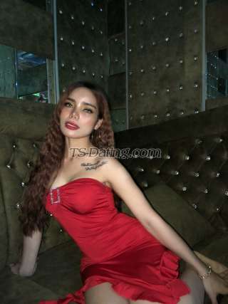 trans girl Farahfox 6844140 trans girl Farahfox 6844140