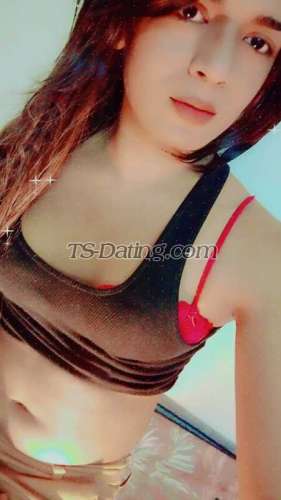 trans girl Farahtrans girl 7650833 trans girl Farahtrans girl 7650833