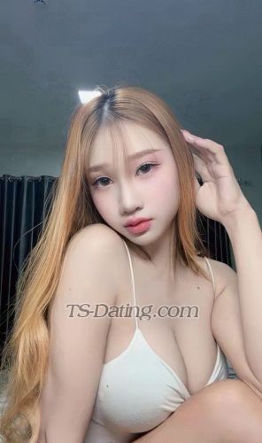 trans girl Fari22 5260513
